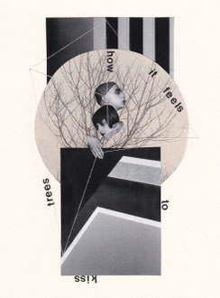 HOW IT FEELS TO KISS TREES.   2017