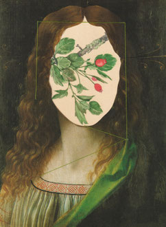 rosehip