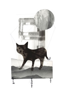calm ghost cat                                                                                    2021