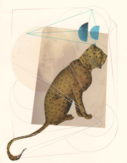 cat at night.    