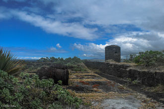 Ile Maurice, l'île aux Fouquets