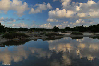 Ile Maurice, marais du faubourg de Mahébourg