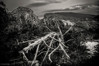 Gorges du Verdon, Alpes-de-Haute-Provence