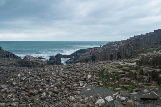 Irlande du Nord, chaussée des Géants (Giant's Causeway)