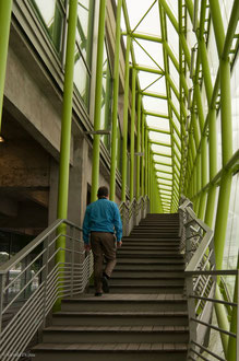 Paris, musée de la Mode, escalier 