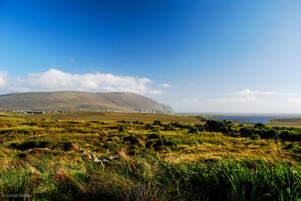 Paysage dans la région de Drumcliff en Irlande