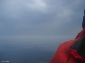 A la rencontre des baleine dans la brume du Saint-Laurent au Québec