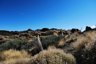 Paysage au volcan Teide à Tenerife Archipel des Canaries