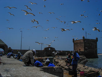 Port_d'Essaouira_Maroc