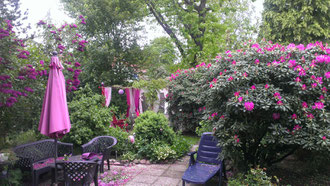 der vordere Garten