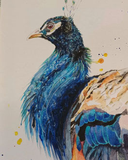 Pfau
