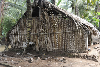 Ben Tre Provinz / Mekongdelta / Anbau und Verwertung von Kokospalmen