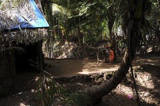 Ben Tre Provinz / Mekongdelta / Anbau und Verwertung von Kokospalmen