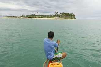 Palawan Kleinfischer / Fisch - Philippinen