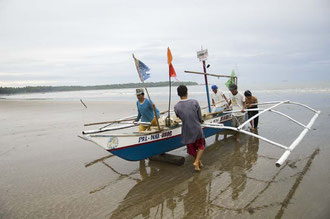 Palawan Kleinfischer / Fisch - Philippinen