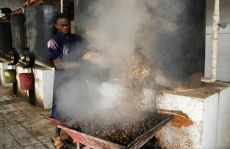 Nach dem Erhitzen werden die Cashew - Nüsse zum knacken in die große Halle gebracht / Cashew -Tansania