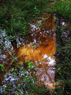Ockerfarbene Absonderungen im Bachlauf