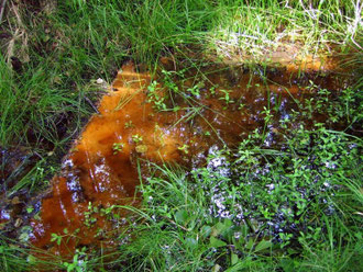 Ockerfarbene Absonderungen im Bachlauf