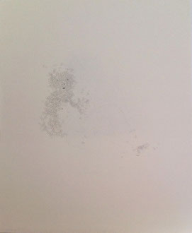  bito-bito no.38  2008  48.5  66.5 cm  pencil, pen, paper