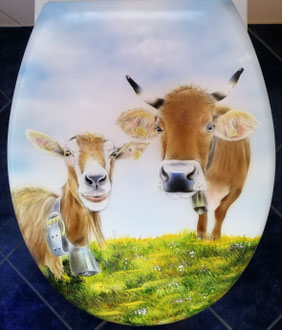 WC Deckel bemalen und mit Autolack versiegelt / Kundenauftrag