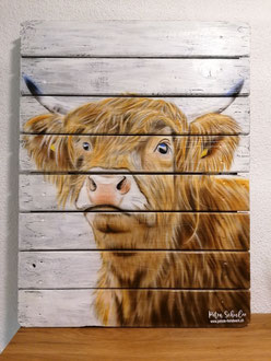 Wandbild Schottisches Hochlandrind 60 cm x 80 cm 