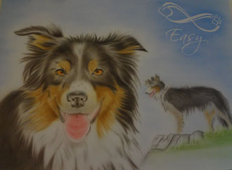Hundeportrait / Auftragsmalerei / 