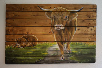 Holzwandbild Schottische Hochlandrinder