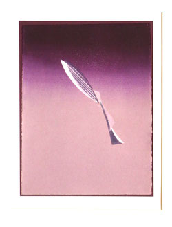 Himmelflug  20,3 x 27,2 cm