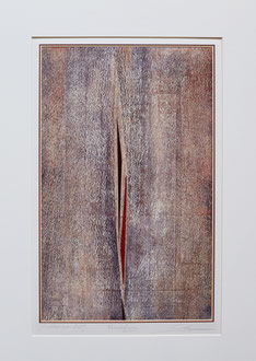 Verwerfung, 28,8 x 45,8 cm
