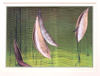 Reifezeit  40,7 x 28,7 cm