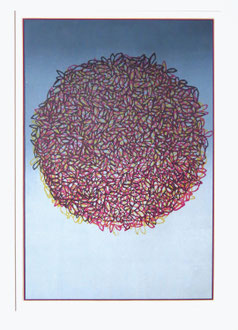 Knäuel der Erfahrungen  36,8 x 55 cm