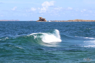 Vague-Photo 001