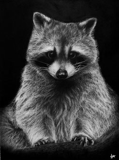 Who, me? - 40 x 30 cm - Graphite and carbon pencils on paper - Ref pic by Edwin Butter - 2020 - SOLD