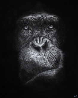 Contemplation - 50 x 40 cm - Graphite and carbon pencils on paper - Ref pic by Samir El Ghoula - 2021 - SOLD