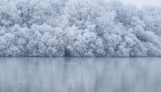 photo de paysage à vendre