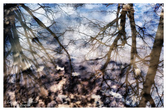 Photos de nature à vendre en reproduction