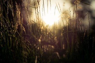 Photos de nature à vendre en reproduction