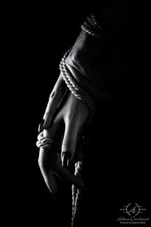Photos de Shibari en éditions limitées