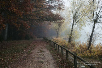 photo de paysage à vendre