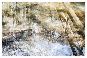 Photos de nature à vendre en reproduction
