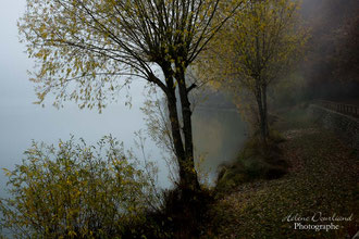 photo de paysage à vendre
