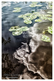 Photos de nature à vendre en reproduction