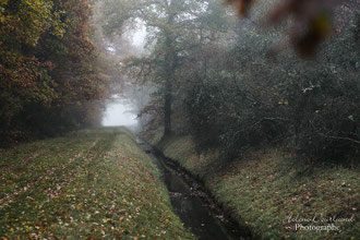 photo de paysage à vendre