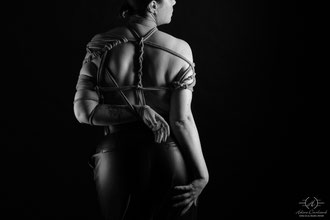 Photos de Shibari en éditions limitées