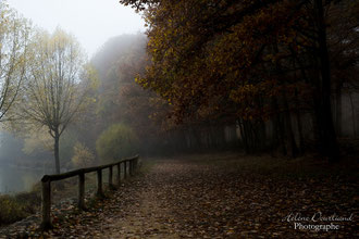 photo de paysage à vendre