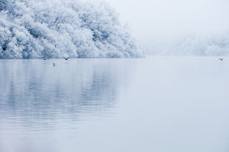photo de paysage à vendre