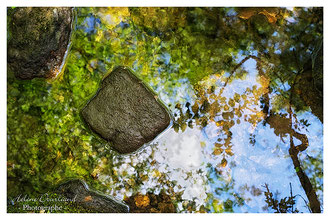 Photos de nature à vendre en reproduction