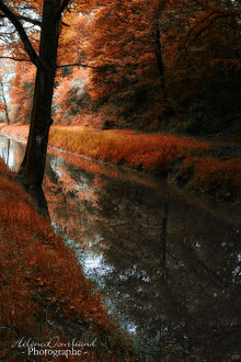 photo de paysage à vendre