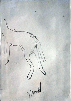 Hund, Bleistift, 21 x 30 cm