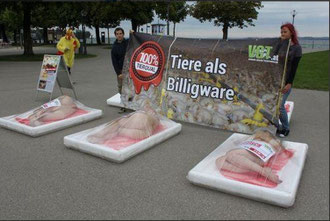 Protestaktion des Vereins gegen Tierfabriken im Juli 2014 in Bregenz